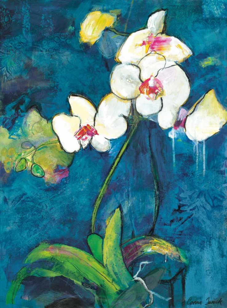 Phalaenopsis II art print by Connie Tunick for $57.95 CAD