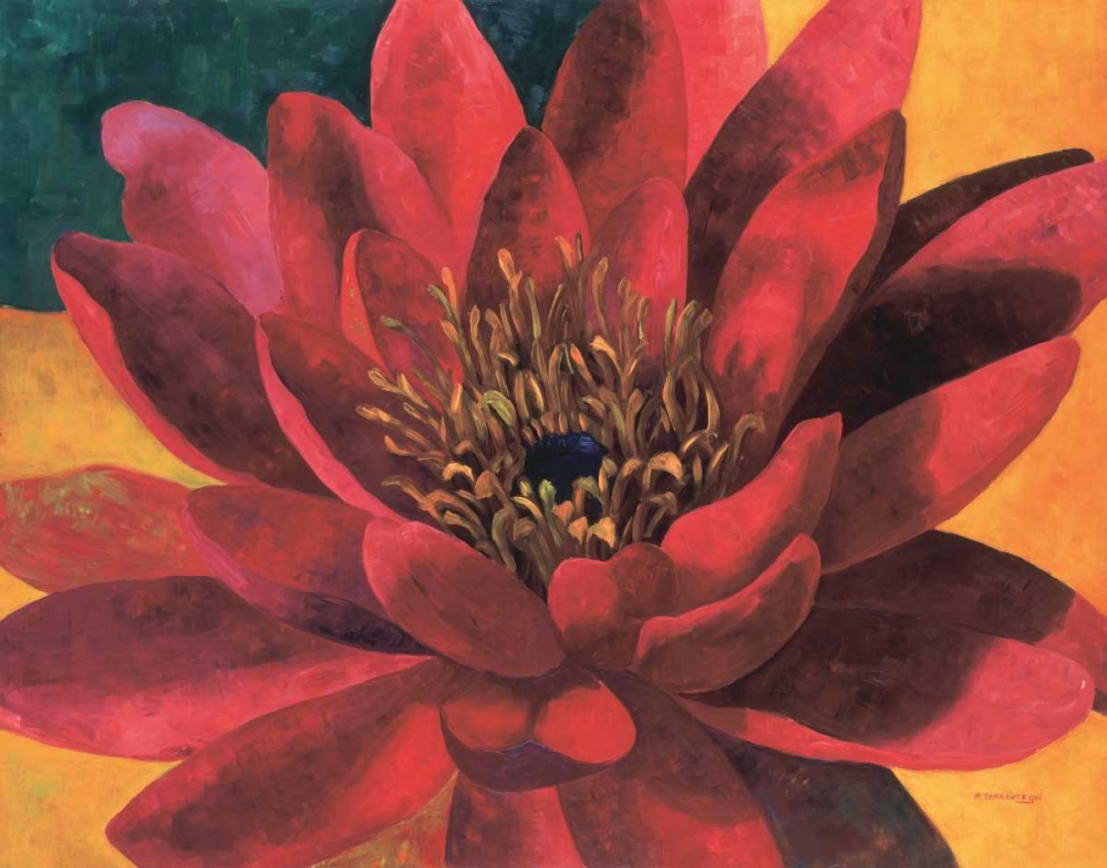 Red Water Lily art print by Maria Torrontegui for $57.95 CAD