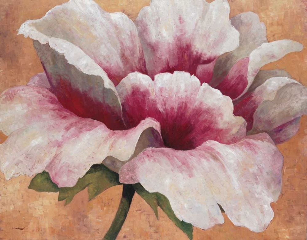 Pink Begonia art print by Maria Torrontegui for $57.95 CAD
