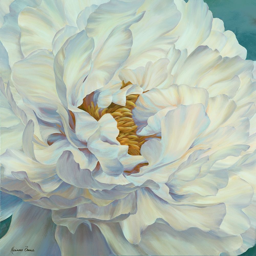 Peony Petals art print by Marianne Broome for $57.95 CAD