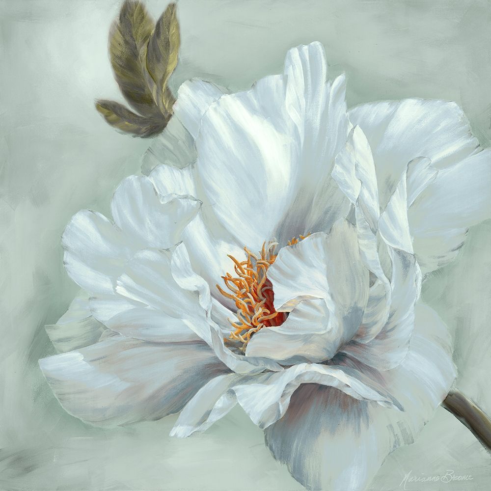 Precious Peony II art print by Marianne Broome for $57.95 CAD