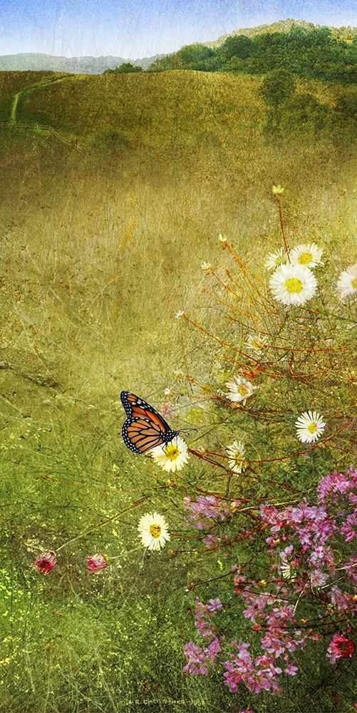 In the Meadow I art print by Chris Vest for $57.95 CAD