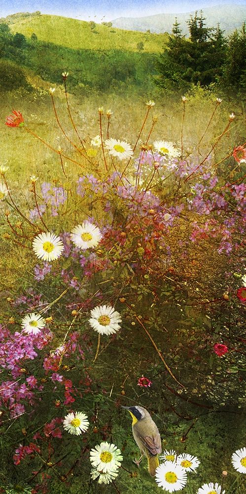 In the Meadow II art print by Chris Vest for $57.95 CAD