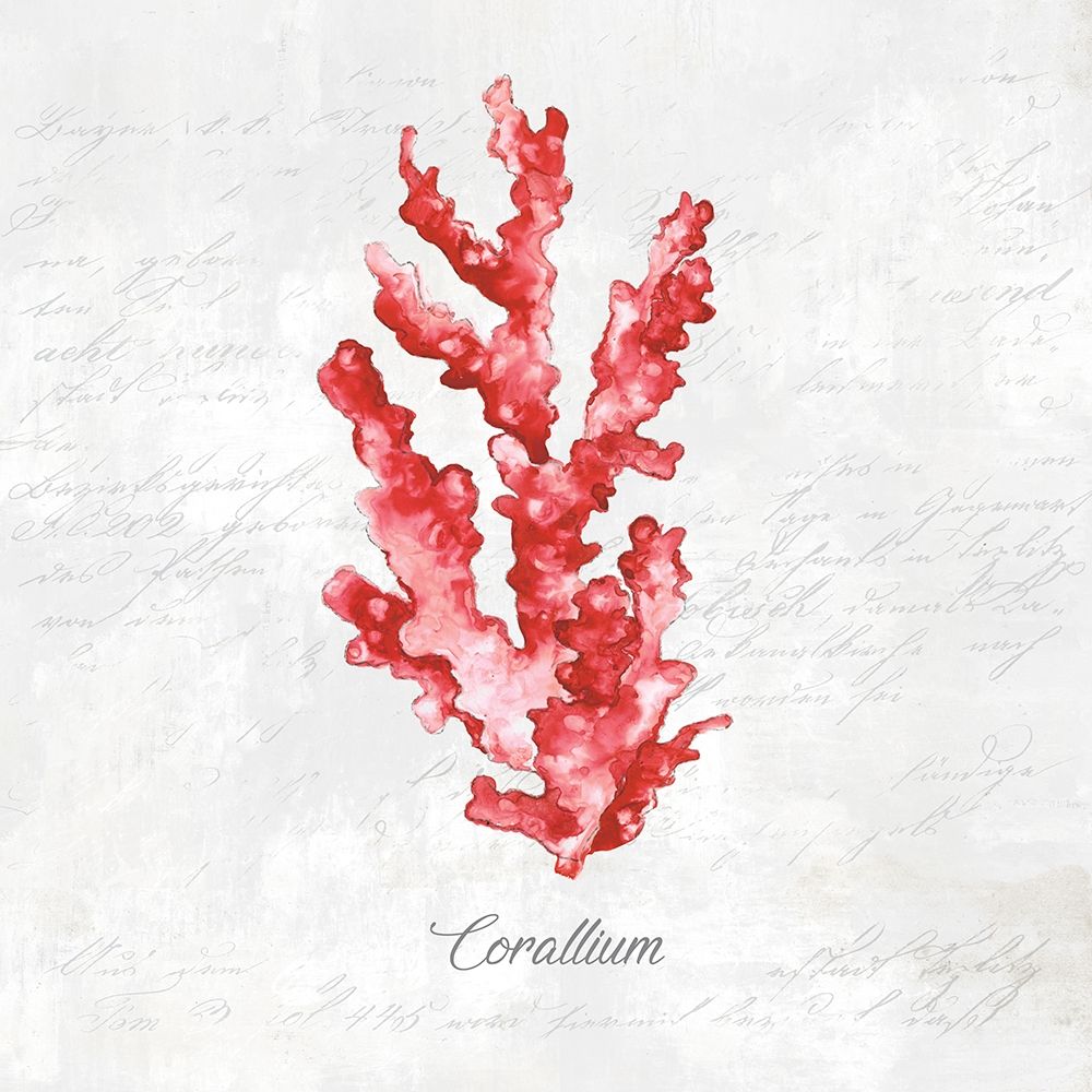 Red Sea Coral art print by Eva Watts for $57.95 CAD
