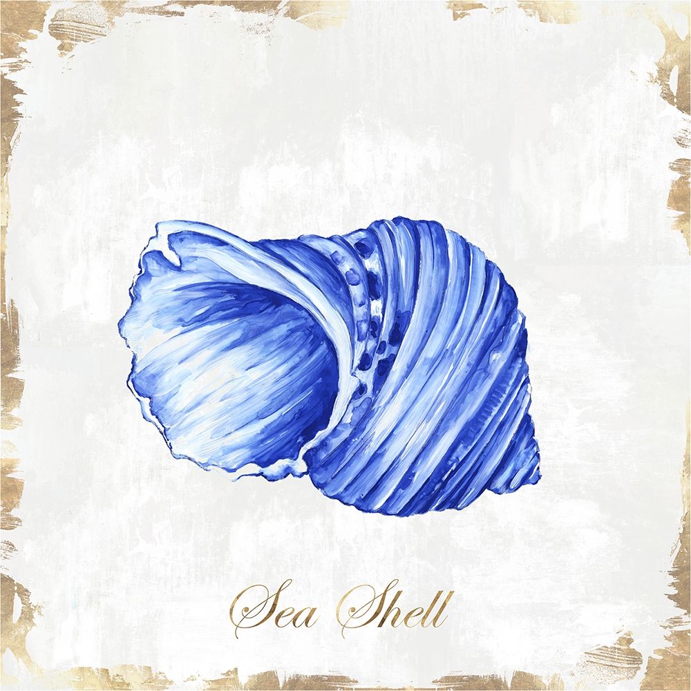 Blue Seashell art print by Eva Watts for $57.95 CAD