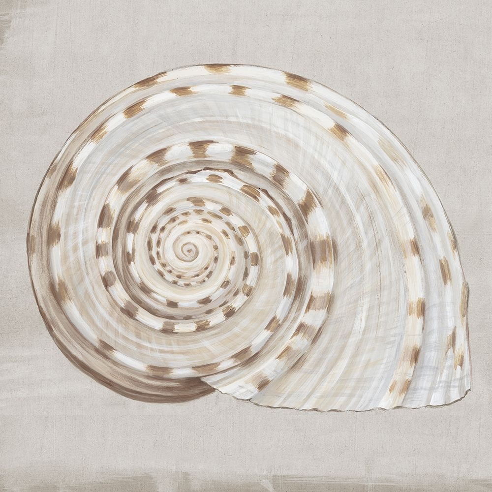 Neutral Shells I art print by Eva Watts for $57.95 CAD