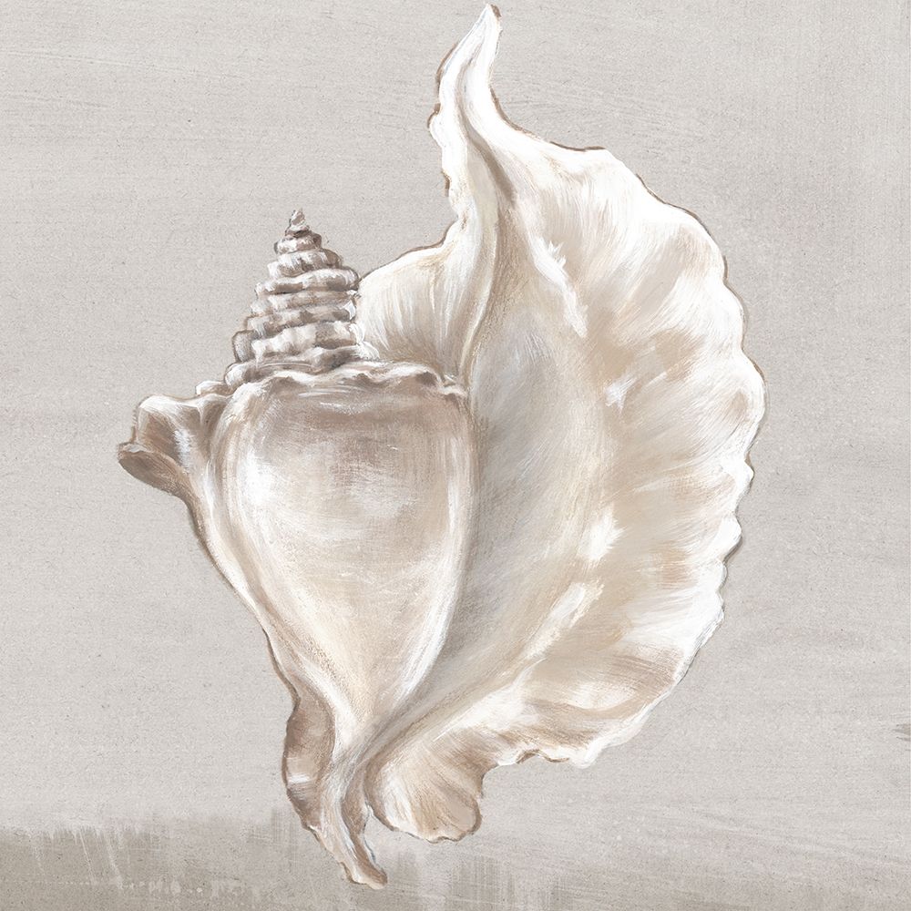 Neutral Shells III art print by Eva Watts for $57.95 CAD