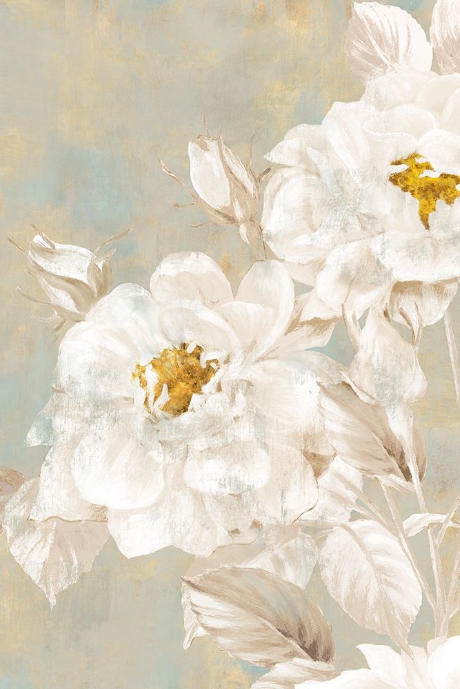 White Rose II  art print by Eva Watts for $57.95 CAD