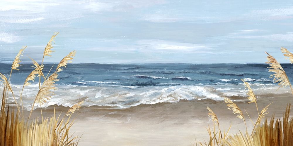 Untouched Beach Grass art print by Eva Watts for $57.95 CAD