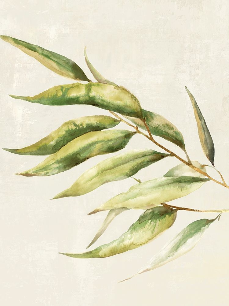 Willow Branch II art print by Eva Watts for $57.95 CAD