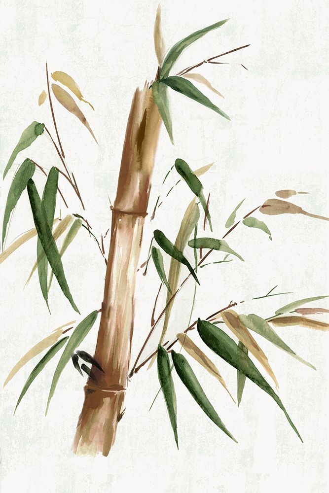 Green Bamboo II art print by Eva Watts for $57.95 CAD