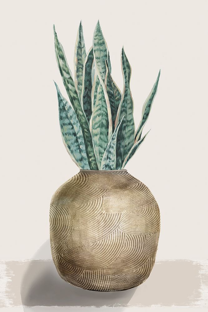 Snake Plant art print by Eva Watts for $57.95 CAD