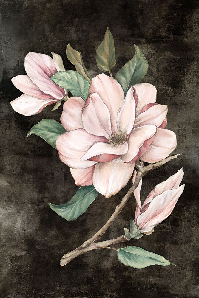 Pink Magnolia I art print by Eva Watts for $57.95 CAD