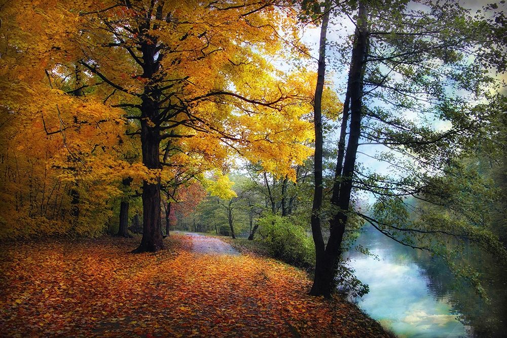 Autumn River View art print by Jessica Jenney for $57.95 CAD