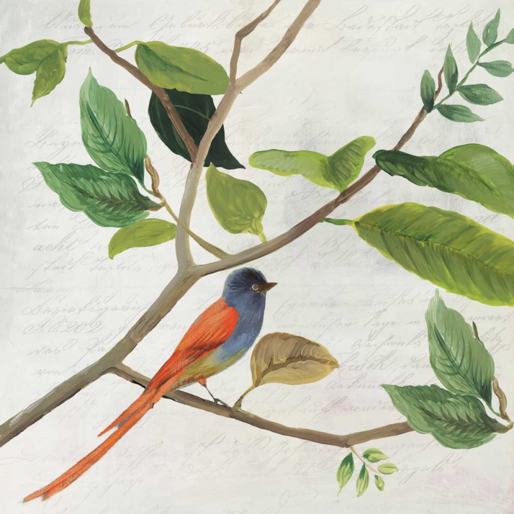 Singing Bird II art print by Asia Jensen for $57.95 CAD