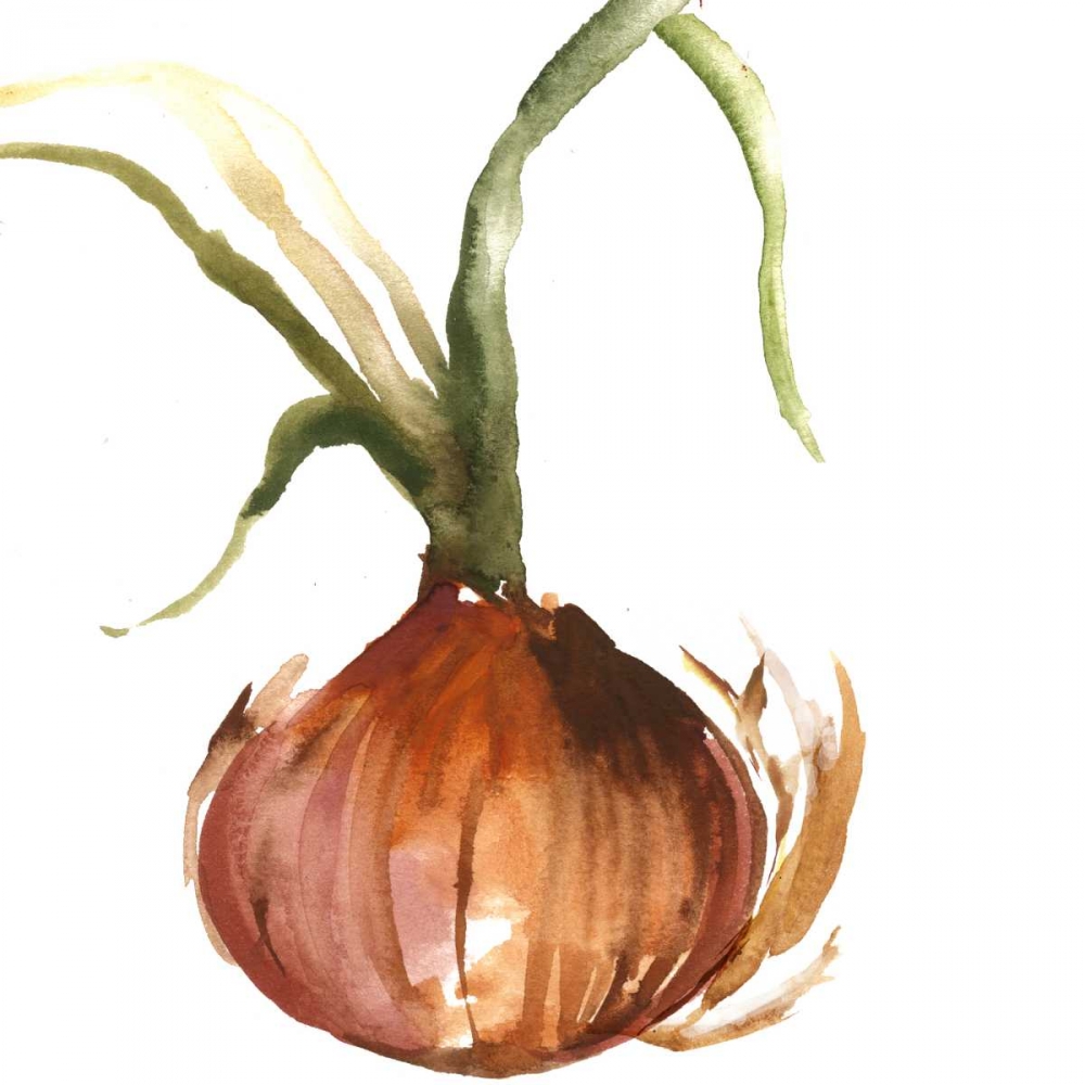 Onion art print by Asia Jensen for $57.95 CAD