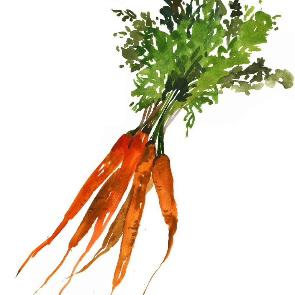 Carrot art print by Asia Jensen for $57.95 CAD