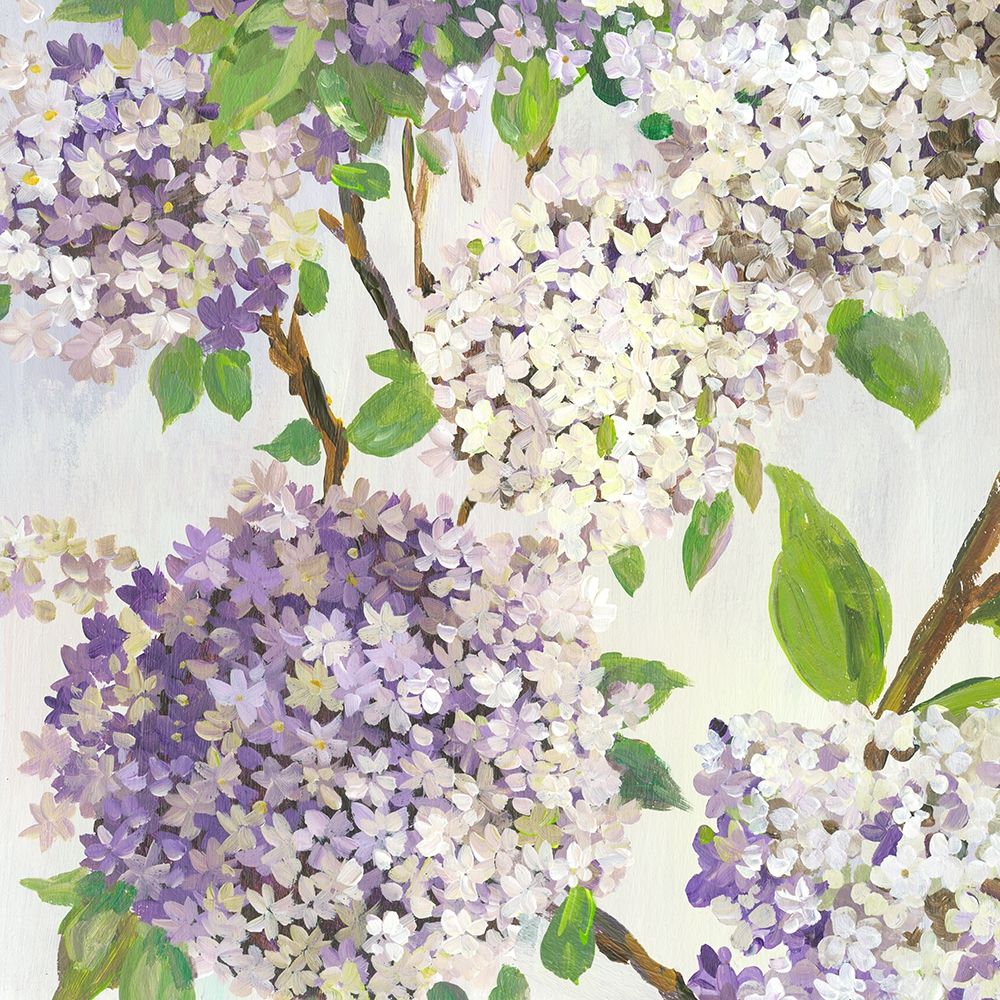 Summer Hydrangea I  art print by Asia Jensen for $57.95 CAD