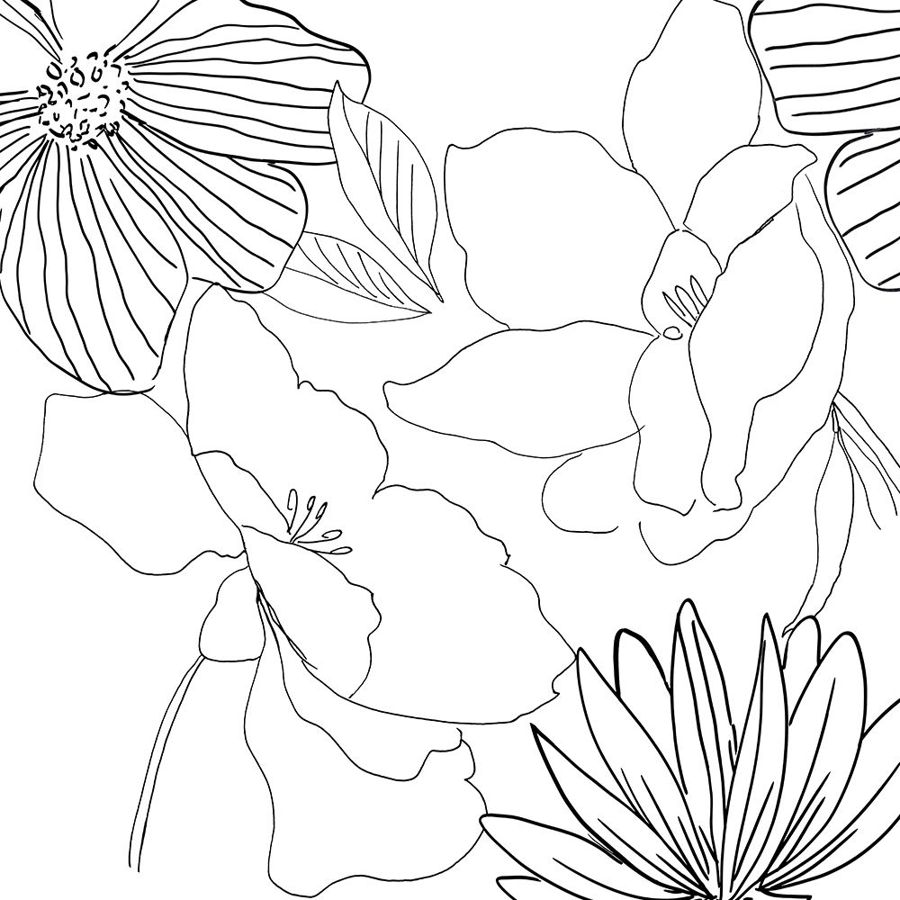 Delicate Lines art print by Asia Jensen for $57.95 CAD
