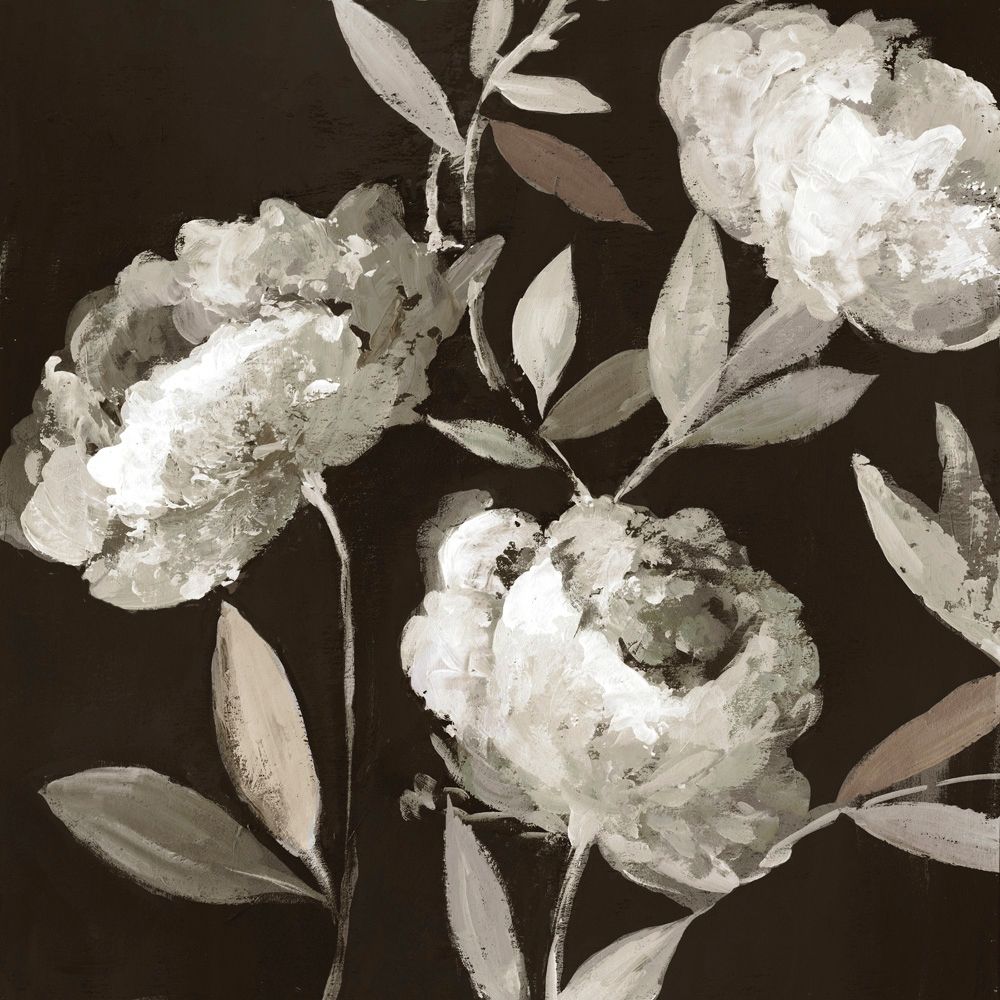 Peonies on Ebony  art print by Asia Jensen for $57.95 CAD
