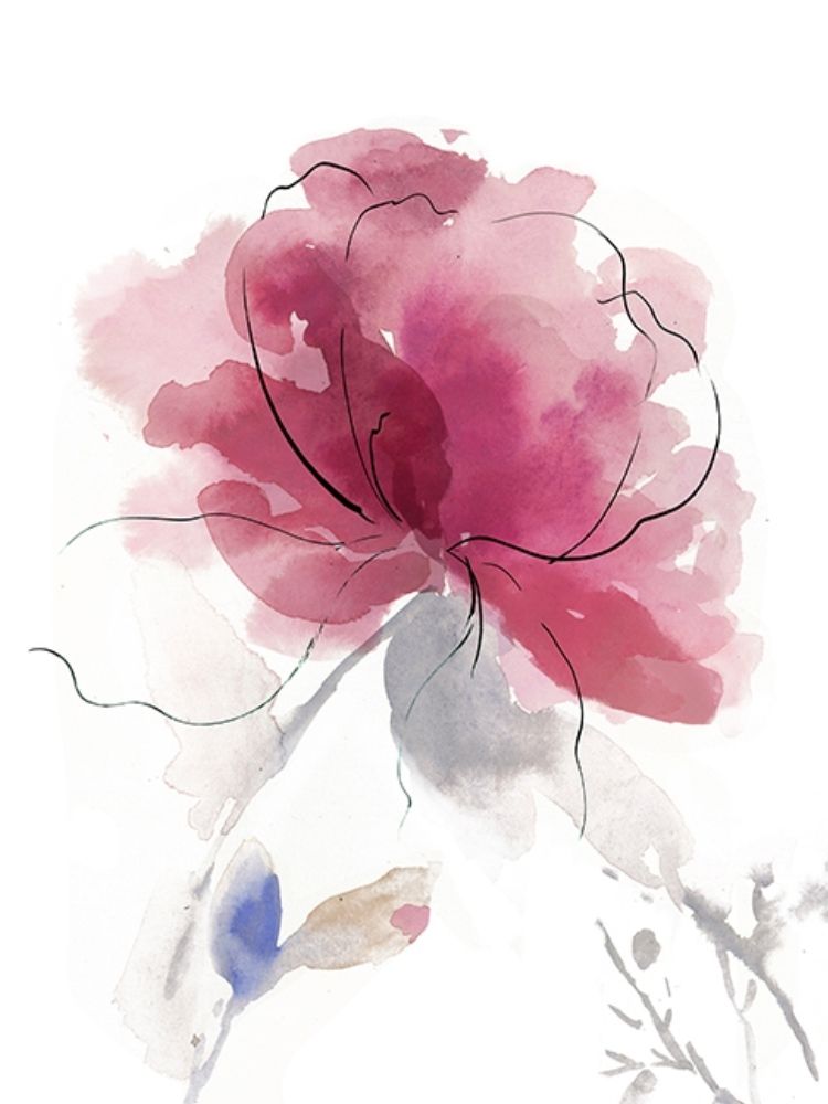 Rosy Bloom II art print by Asia Jensen for $57.95 CAD