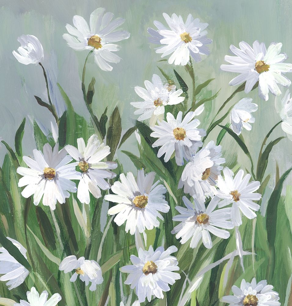 Daisy Day art print by Asia Jensen for $57.95 CAD