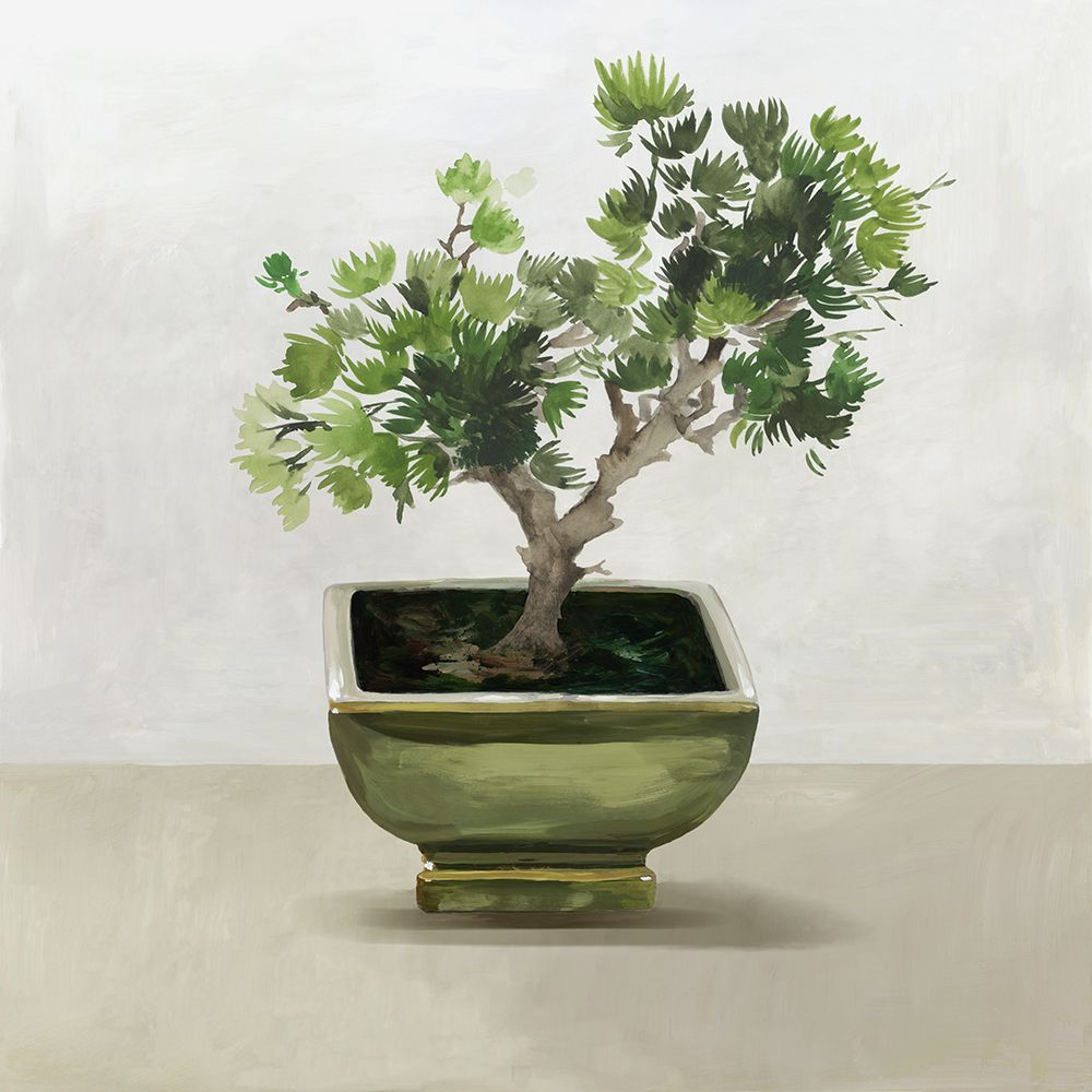 Bonsai Tree I  art print by Asia Jensen for $57.95 CAD