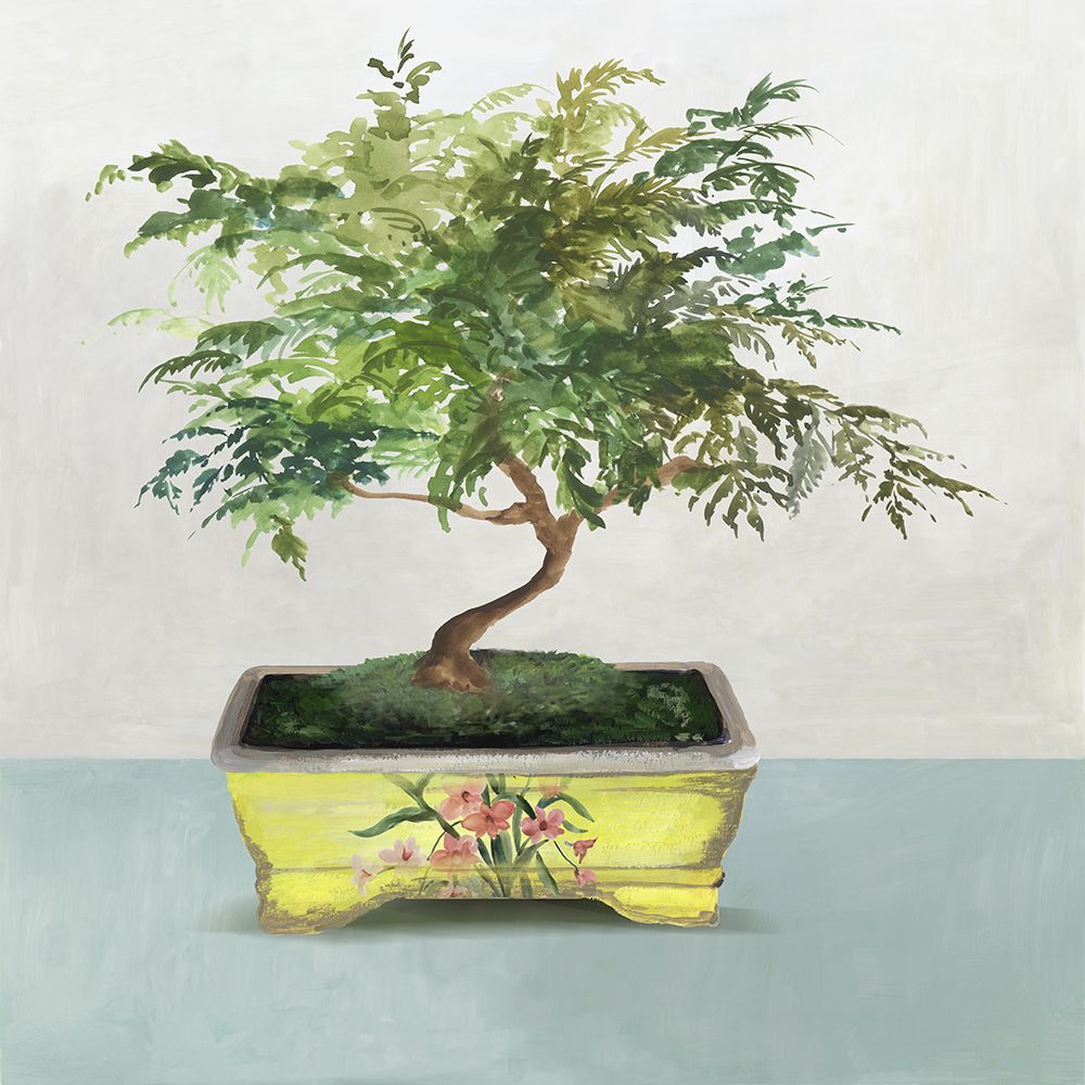 Bonsai Tree IV art print by Asia Jensen for $57.95 CAD