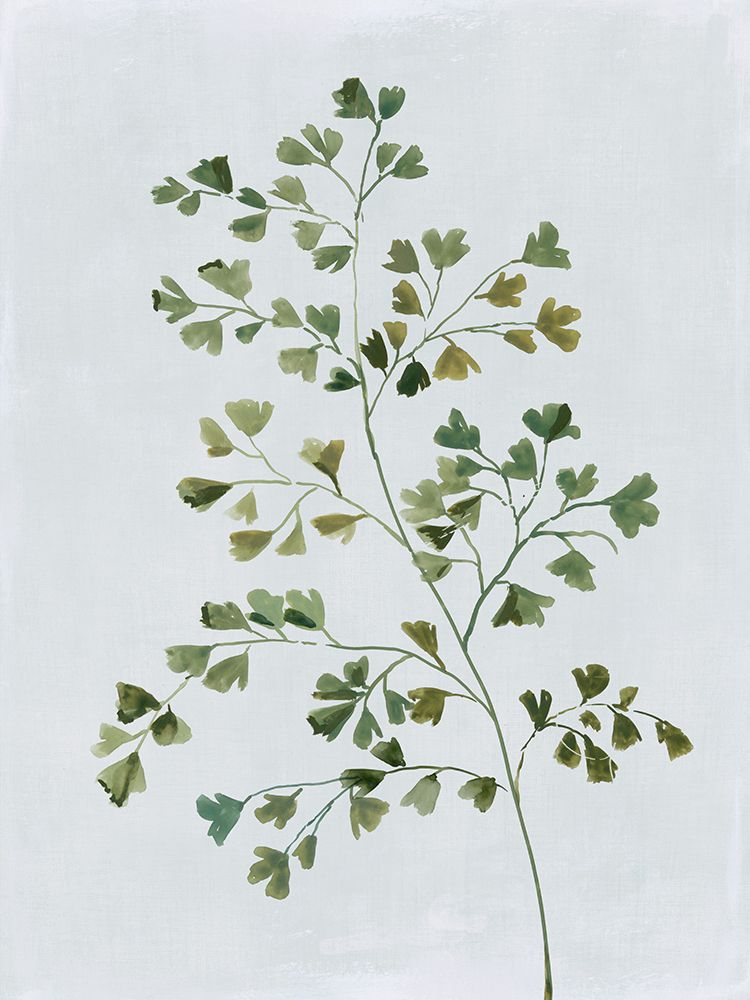 Green Fern II  art print by Asia Jensen for $57.95 CAD