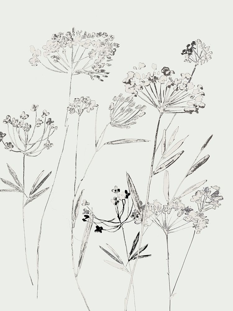 White Delicate II  art print by Asia Jensen for $57.95 CAD
