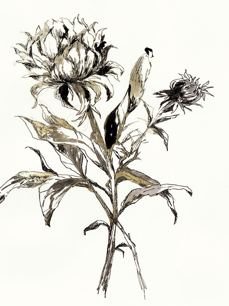 Botanical Seed I art print by Asia Jensen for $57.95 CAD