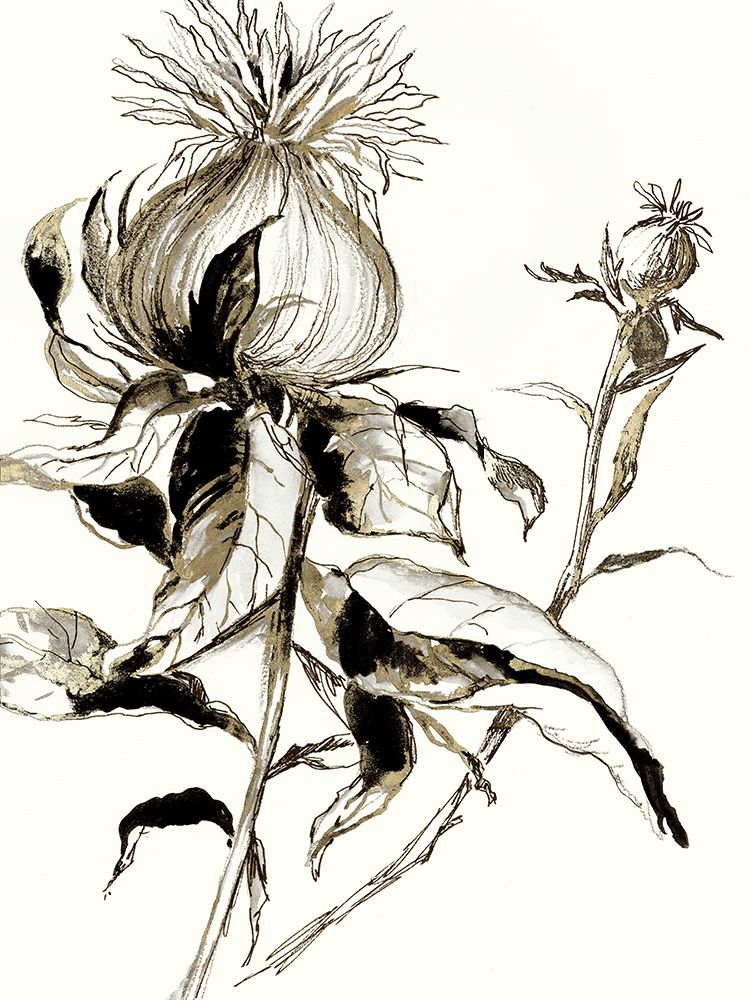 Botanical Seed II art print by Asia Jensen for $57.95 CAD