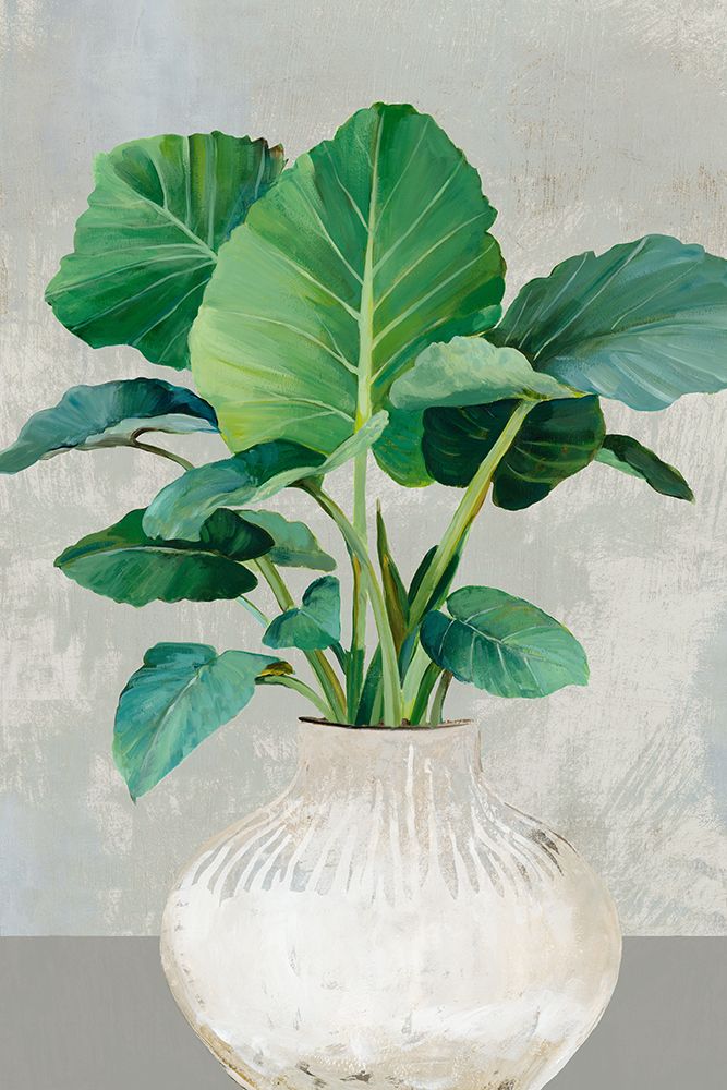 Indoor Plants II art print by Asia Jensen for $57.95 CAD