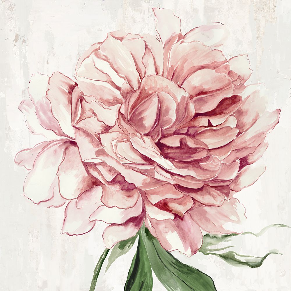 Blush Beauty art print by Asia Jensen for $57.95 CAD