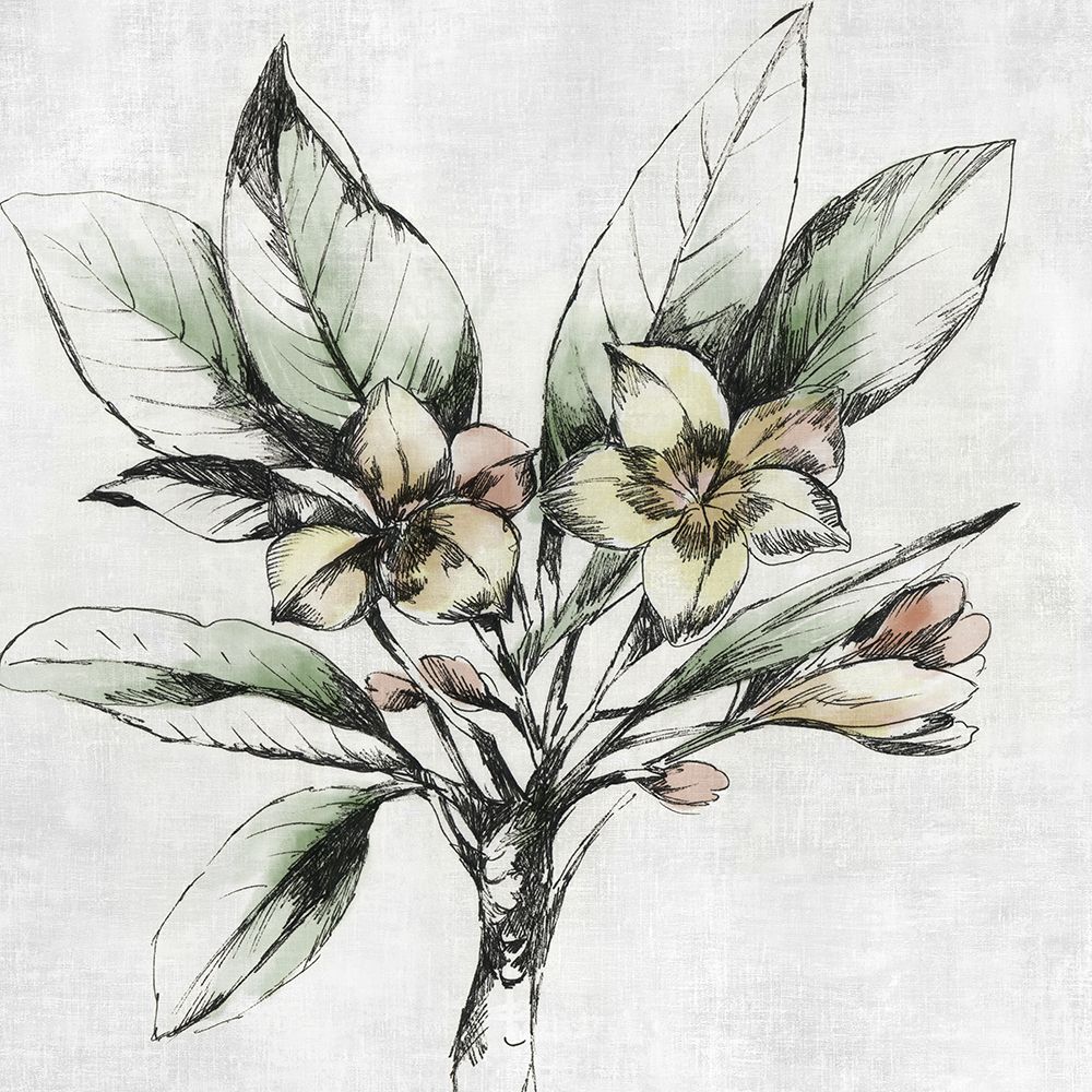 Botanical Study I art print by Asia Jensen for $57.95 CAD