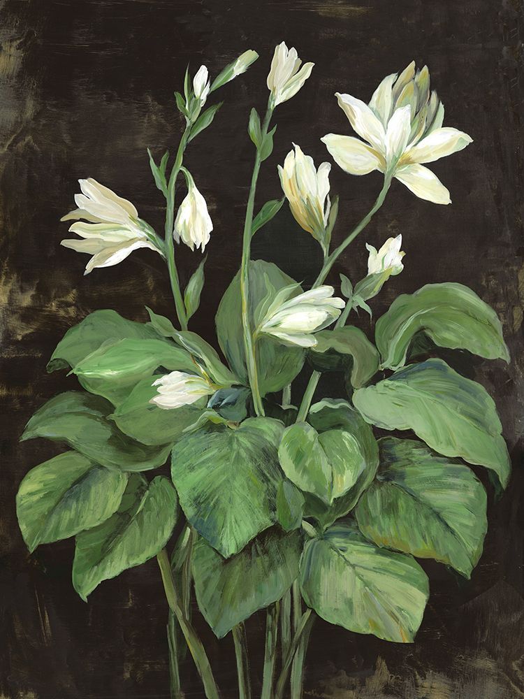 Blooming Hosta art print by Asia Jensen for $57.95 CAD