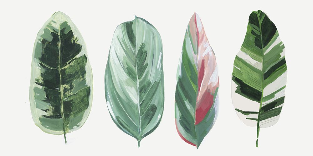 Gallery of Leaves art print by Asia Jensen for $57.95 CAD