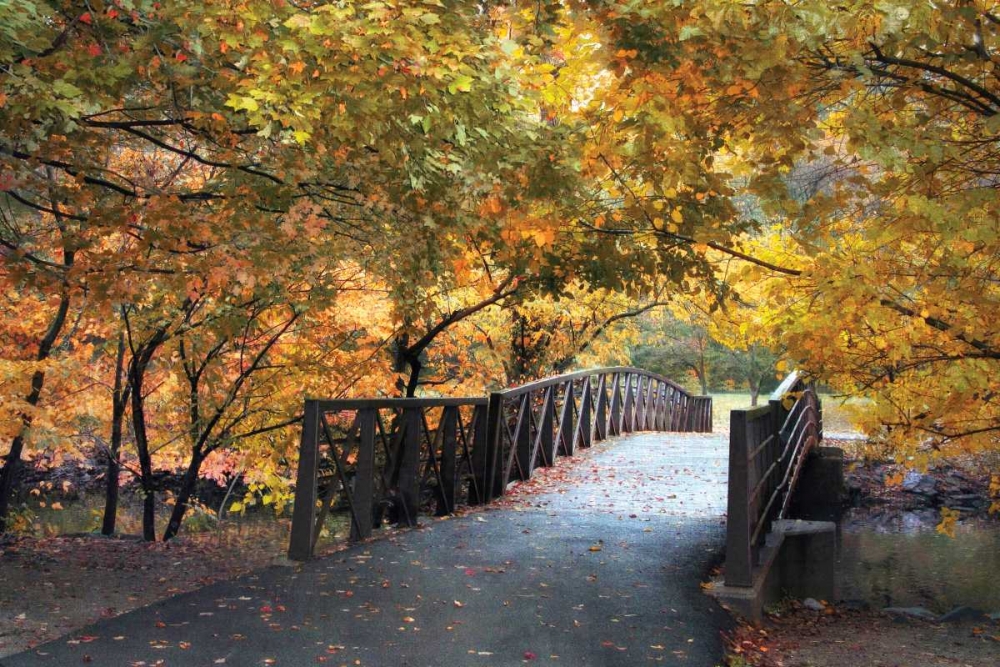 Autumn Overpass art print by Jessica Jenney for $57.95 CAD
