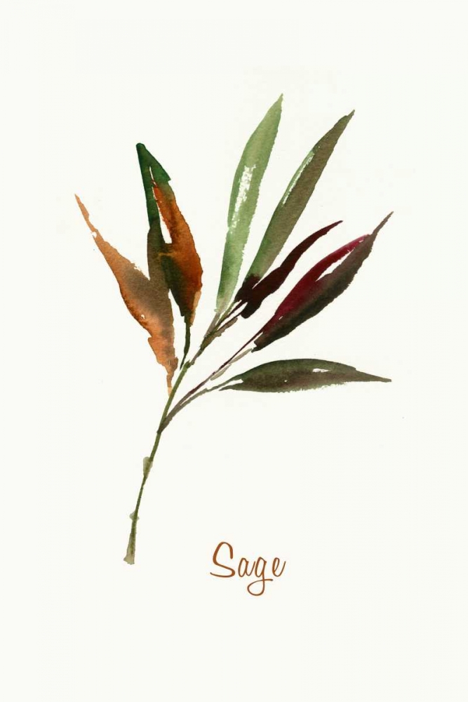 Wild Sage - Mini art print by Asia Jensen for $57.95 CAD