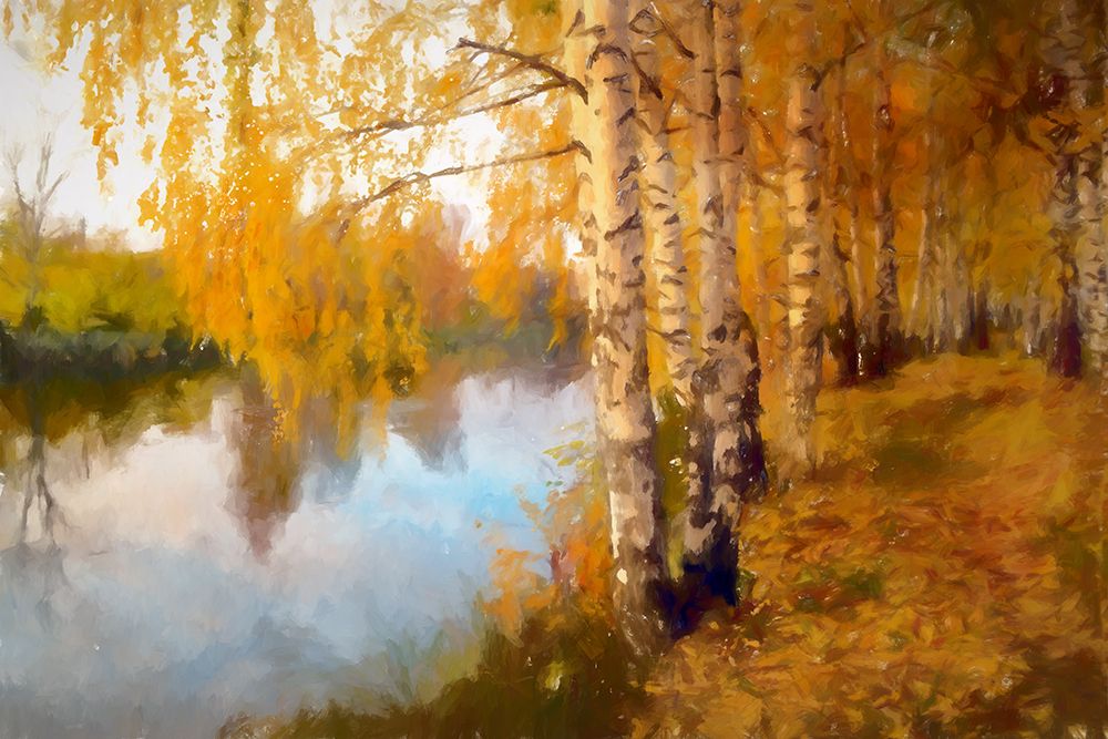 Autumn Birch art print by Kim Curinga for $57.95 CAD