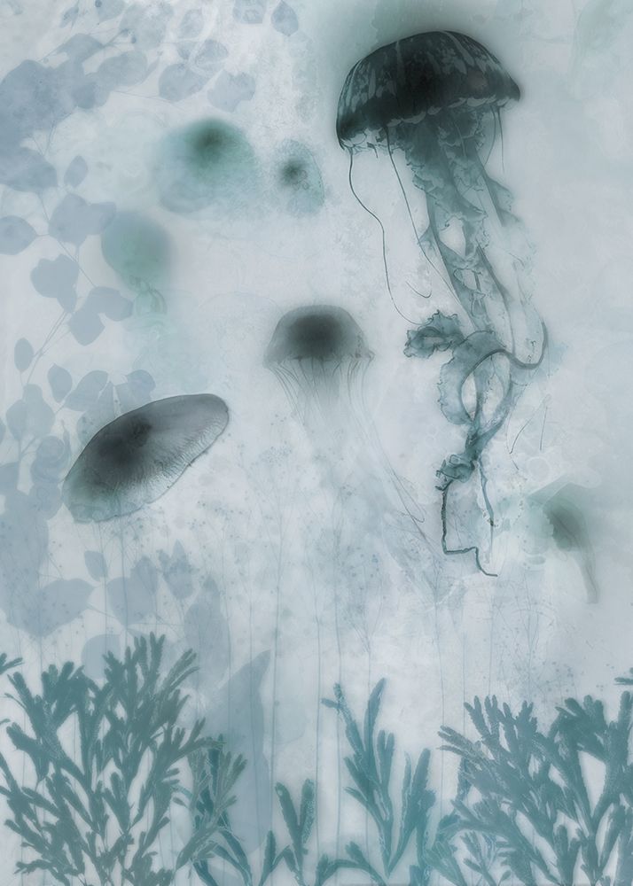 Blue Jellyfish II art print by Ken Roko for $57.95 CAD