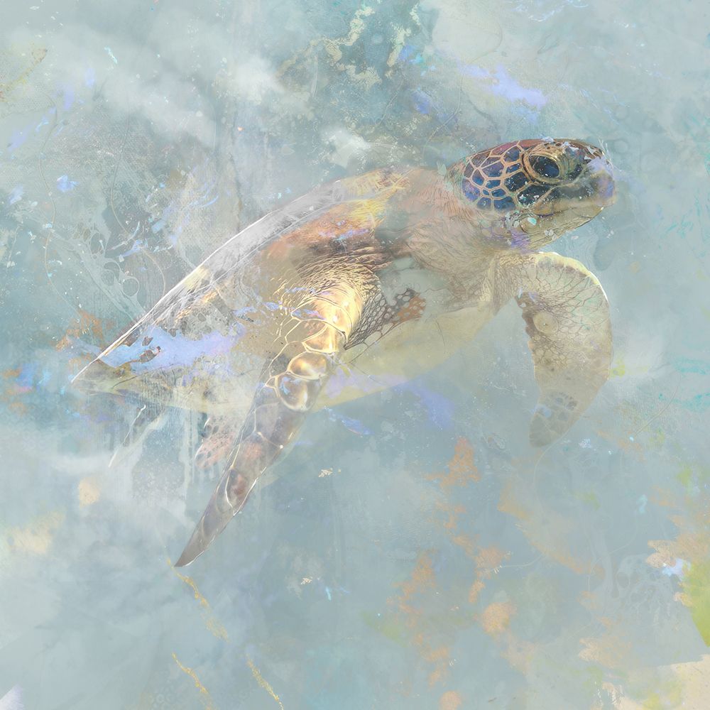 Oceanic Turtle I art print by Ken Roko for $57.95 CAD