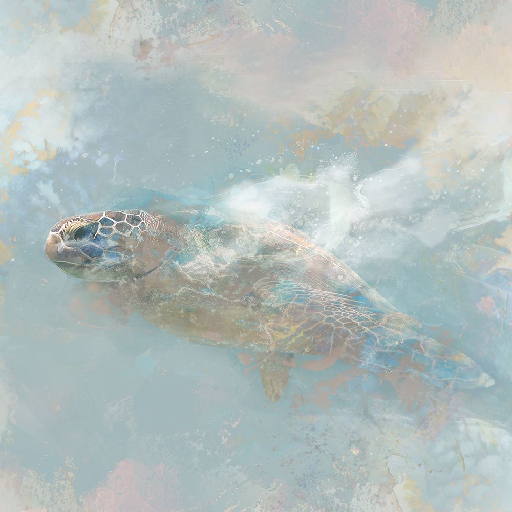 Oceanic Turtle II art print by Ken Roko for $57.95 CAD