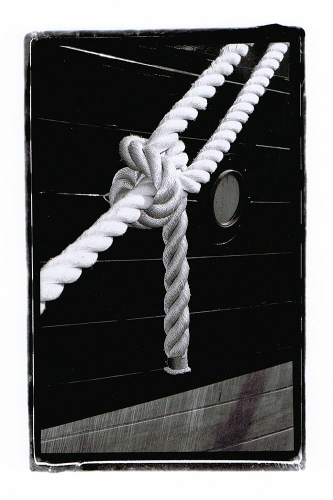 Single Knot art print by Laura DeNardo for $57.95 CAD