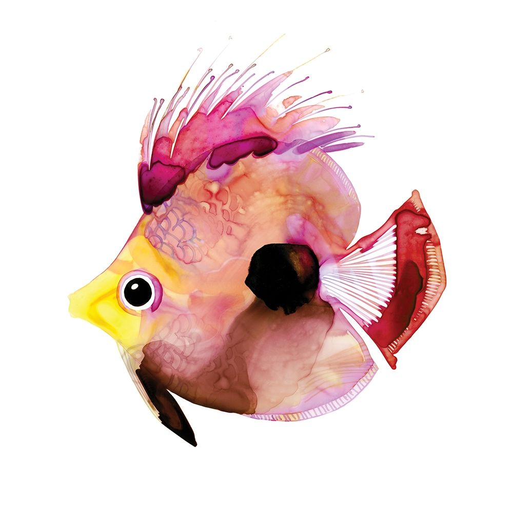 Pink Fish art print by Margaret Berg for $57.95 CAD