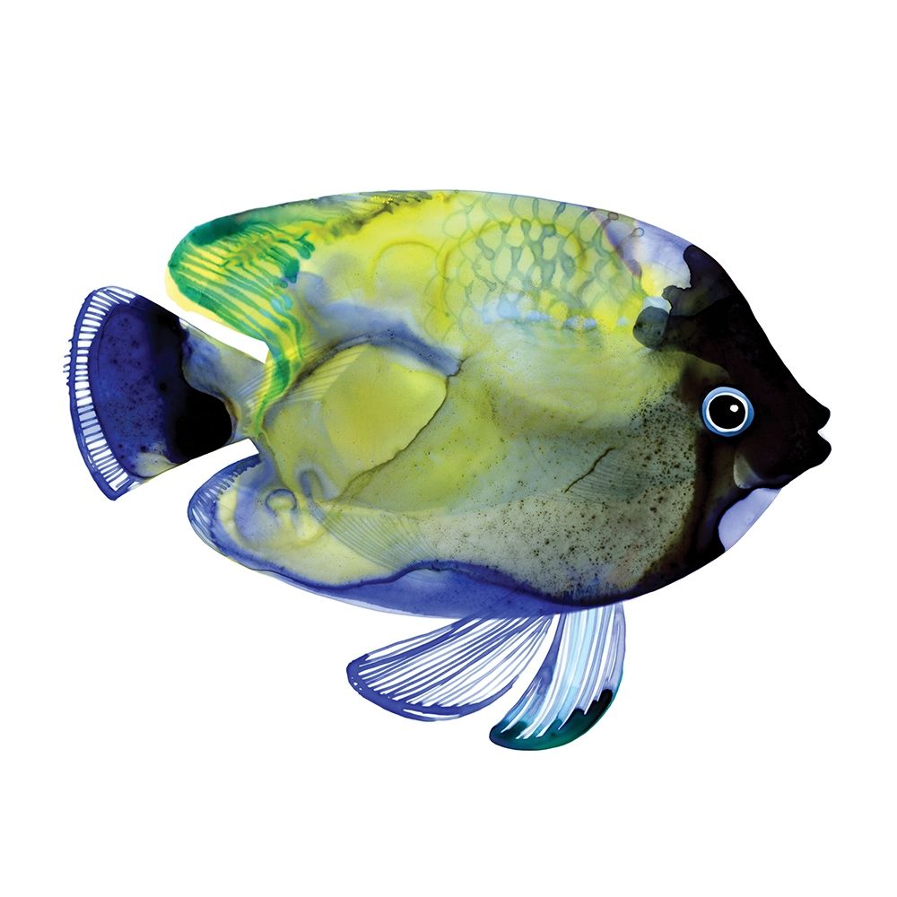 Green Fish art print by Margaret Berg for $57.95 CAD