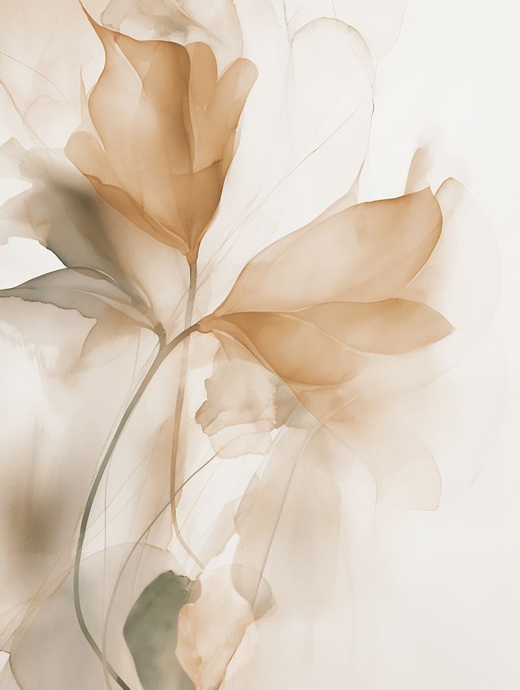 Floral Transparency I art print by Andrea Haase for $57.95 CAD
