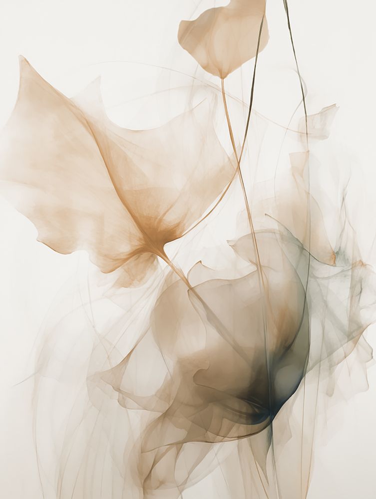Floral Transparency II art print by Andrea Haase for $57.95 CAD