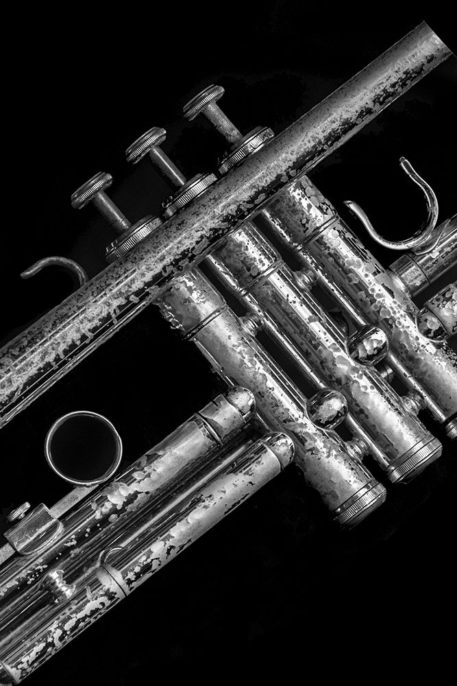 Silver Trumpet  art print by Norm Stelfox for $57.95 CAD