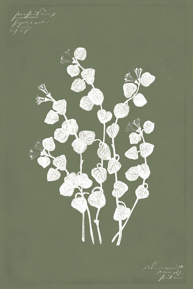Botanical garden II art print by PI Studio for $57.95 CAD